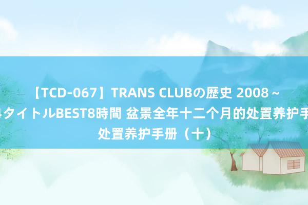 【TCD-067】TRANS CLUBの歴史 2008～2011 44タイトルBEST8時間 盆景全年十二个月的处置养护手册（十）