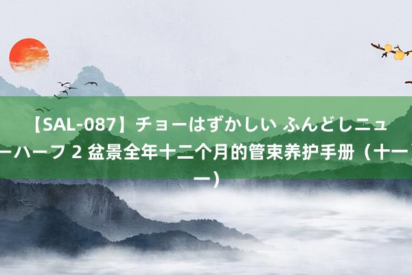 【SAL-087】チョーはずかしい ふんどしニューハーフ 2 盆景全年十二个月的管束养护手册（十一）