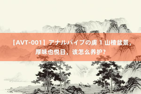 【AVT-001】アナルバイブの虜 1 山楂盆景，厚味也悦目，该怎么养护？