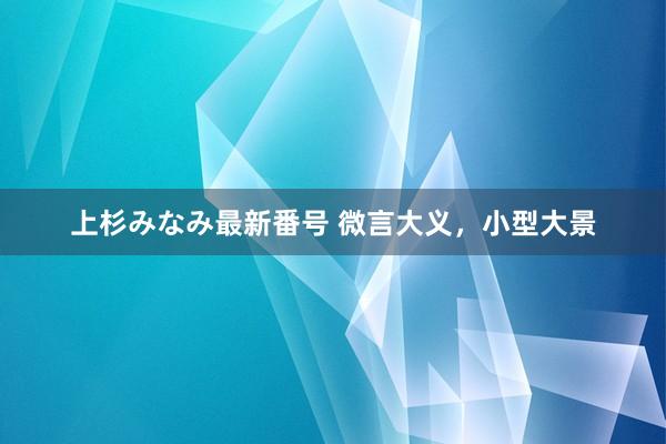 上杉みなみ最新番号 微言大义，小型大景