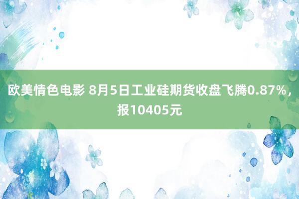 欧美情色电影 8月5日工业硅期货收盘飞腾0.87%，报10405元