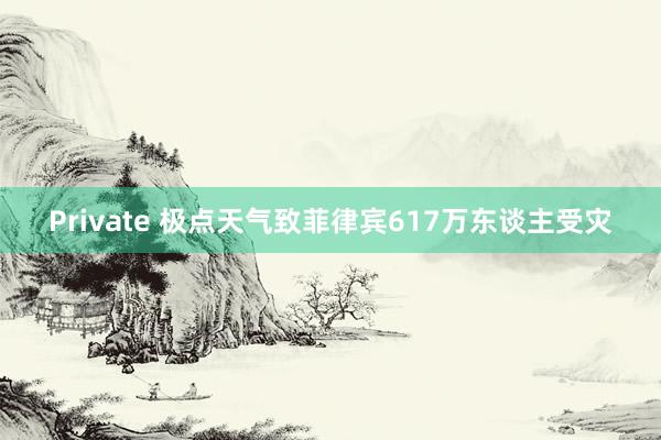 Private 极点天气致菲律宾617万东谈主受灾