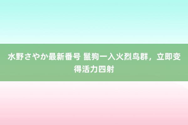 水野さやか最新番号 鬣狗一入火烈鸟群，立即变得活力四射