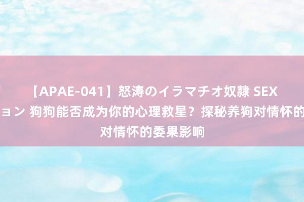 【APAE-041】怒涛のイラマチオ奴隷 SEXコレクション 狗狗能否成为你的心理救星？探秘养狗对情怀的委果影响