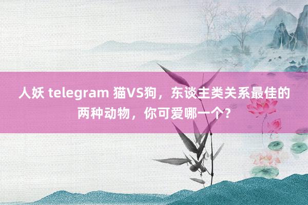 人妖 telegram 猫VS狗，东谈主类关系最佳的两种动物，你可爱哪一个？