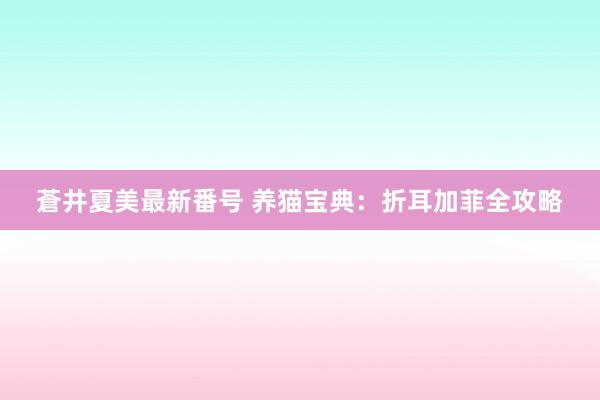 蒼井夏美最新番号 养猫宝典：折耳加菲全攻略