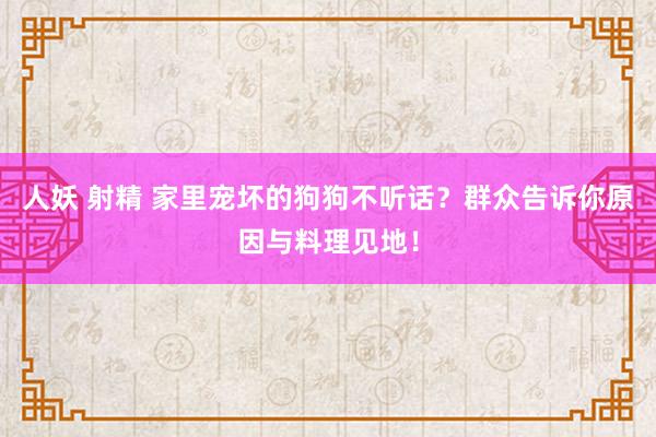 人妖 射精 家里宠坏的狗狗不听话？群众告诉你原因与料理见地！