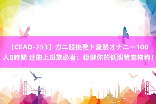 【CEAD-253】ガニ股挑発ド変態オナニー100人8時間 迂曲上班族必看：稳健你的低照管宠物狗！