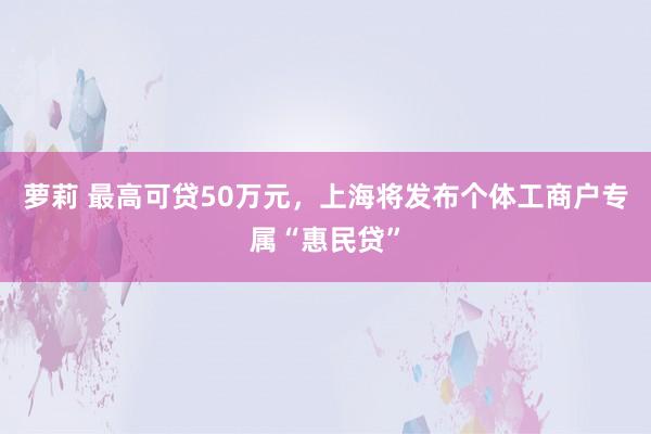 萝莉 最高可贷50万元，上海将发布个体工商户专属“惠民贷”