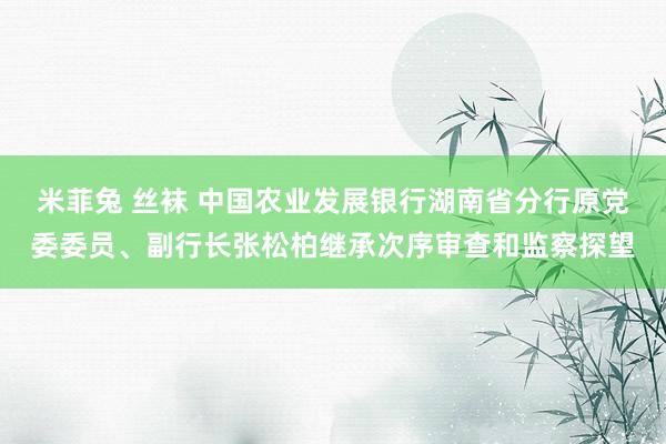 米菲兔 丝袜 中国农业发展银行湖南省分行原党委委员、副行长张松柏继承次序审查和监察探望