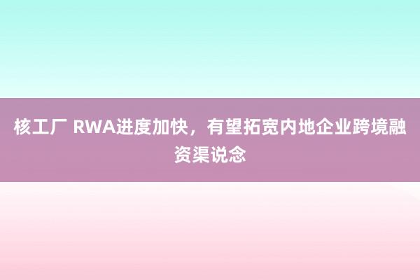 核工厂 RWA进度加快，有望拓宽内地企业跨境融资渠说念