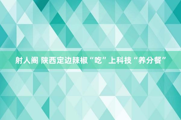 射人阁 陕西定边辣椒“吃”上科技“养分餐”